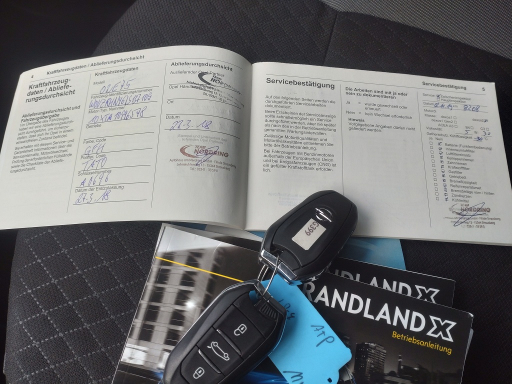 Opel Grandland X