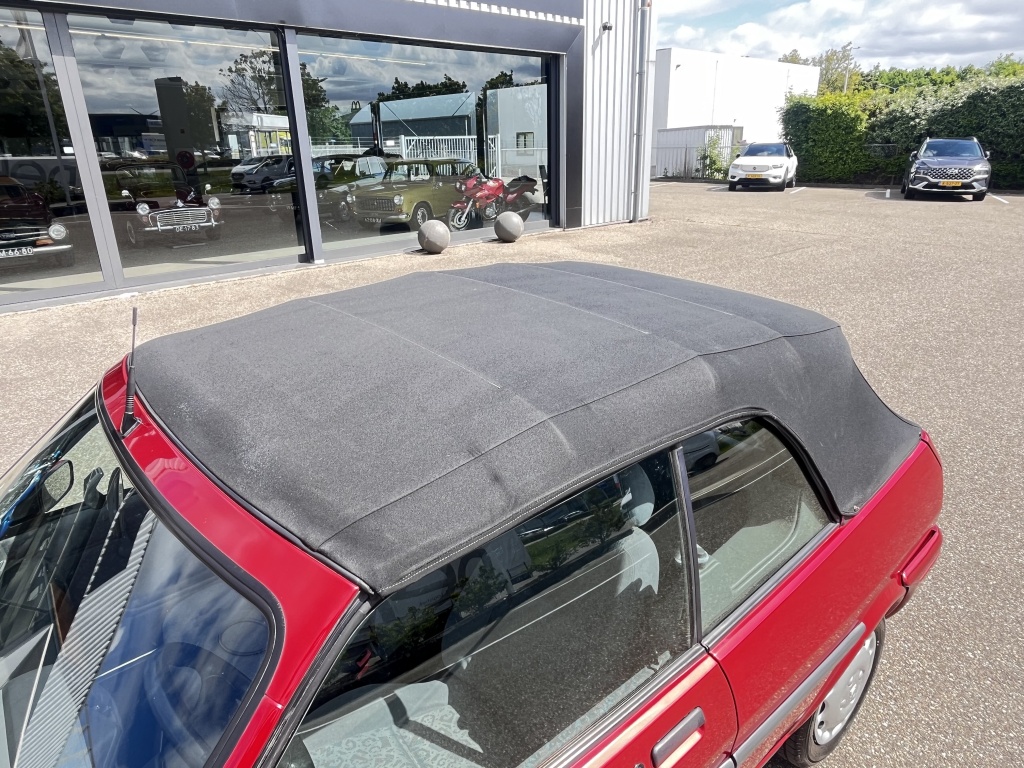 Rover 100