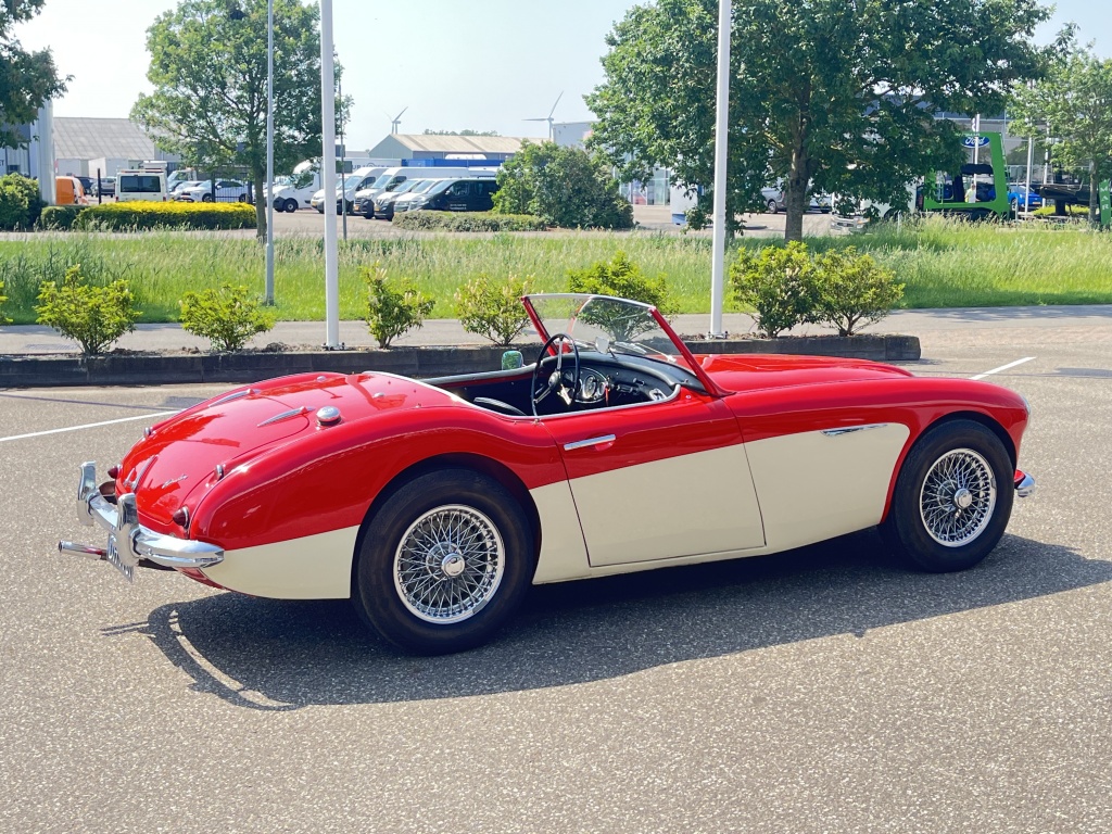 Austin Healey Onbekend