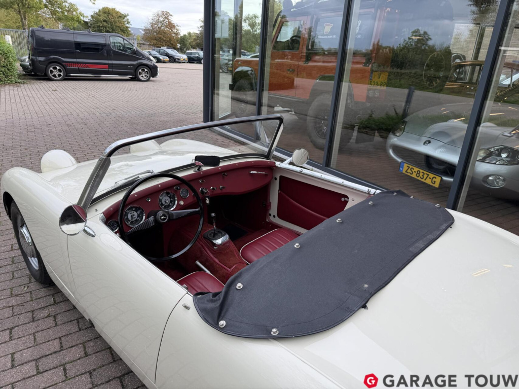 Austin Healey Onbekend