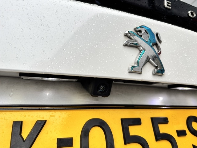 Peugeot E-2008