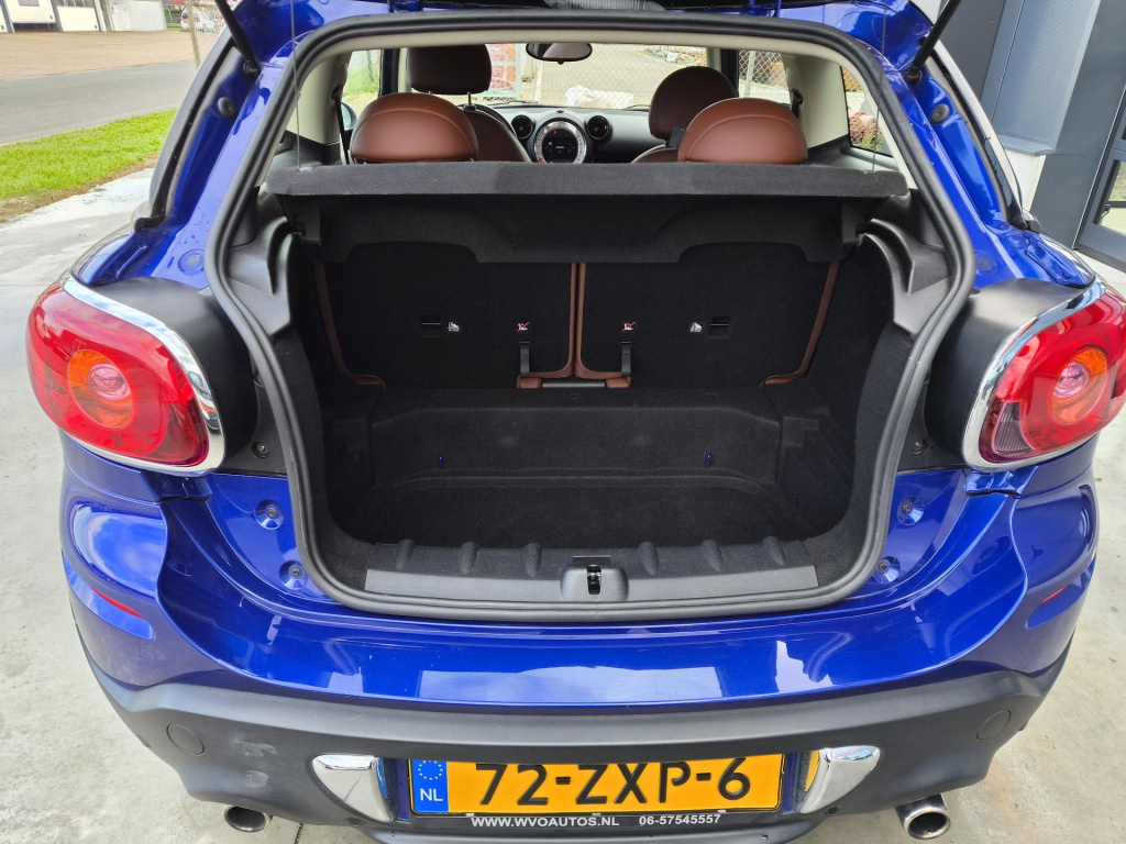 Mini Paceman