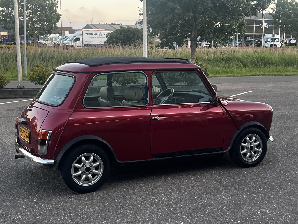 Mini Mini