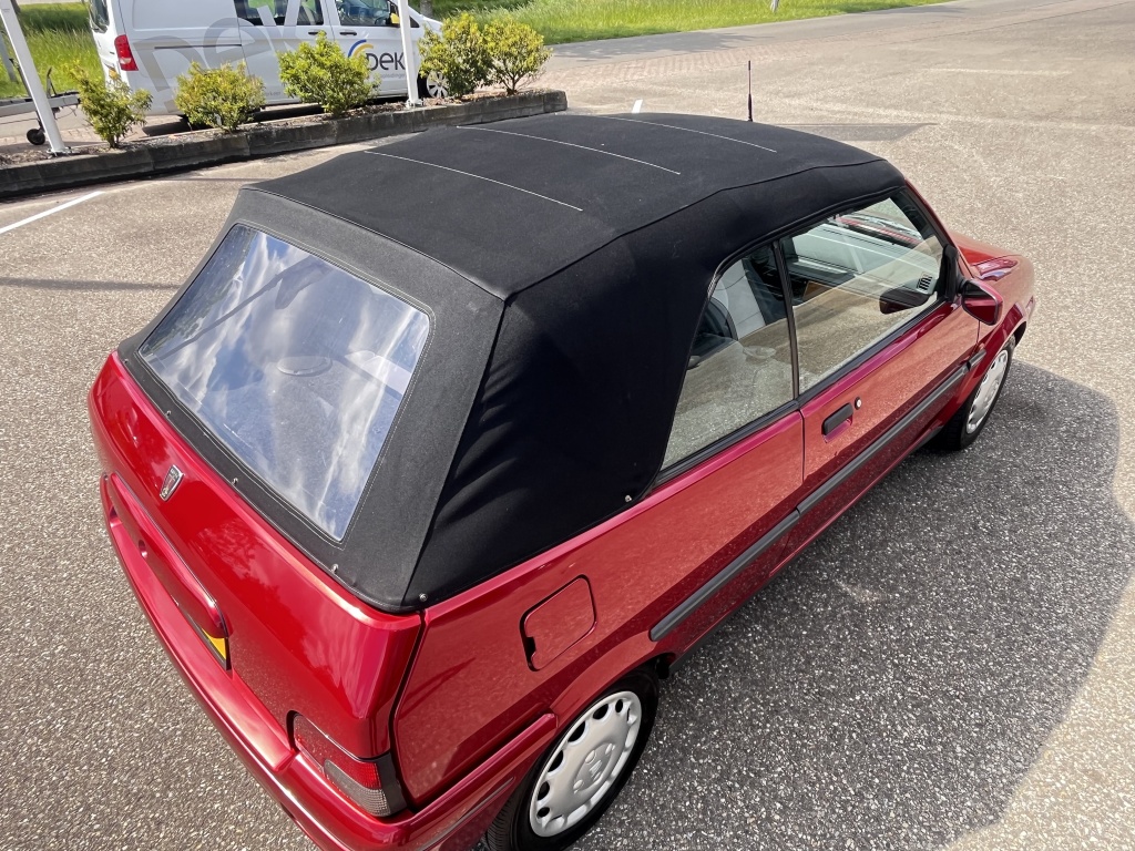 Rover 100