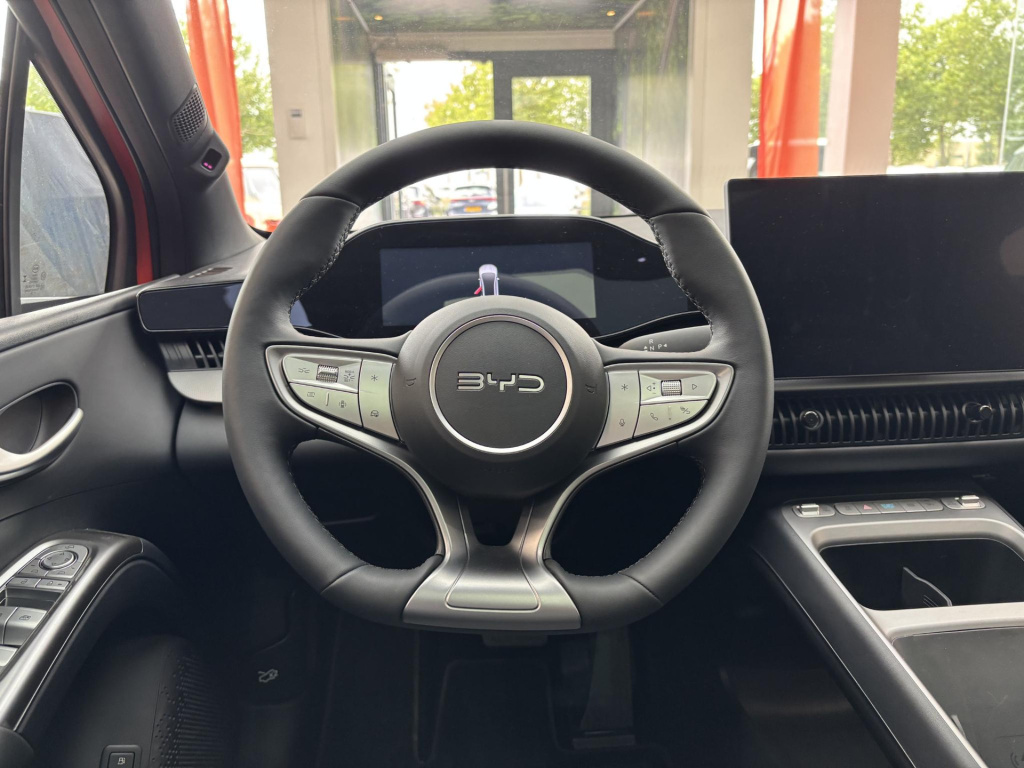 Byd Dolphin
