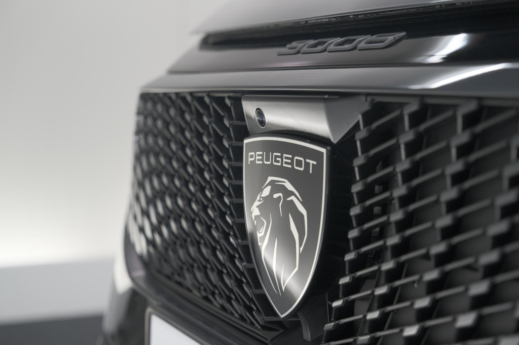 Peugeot E-3008